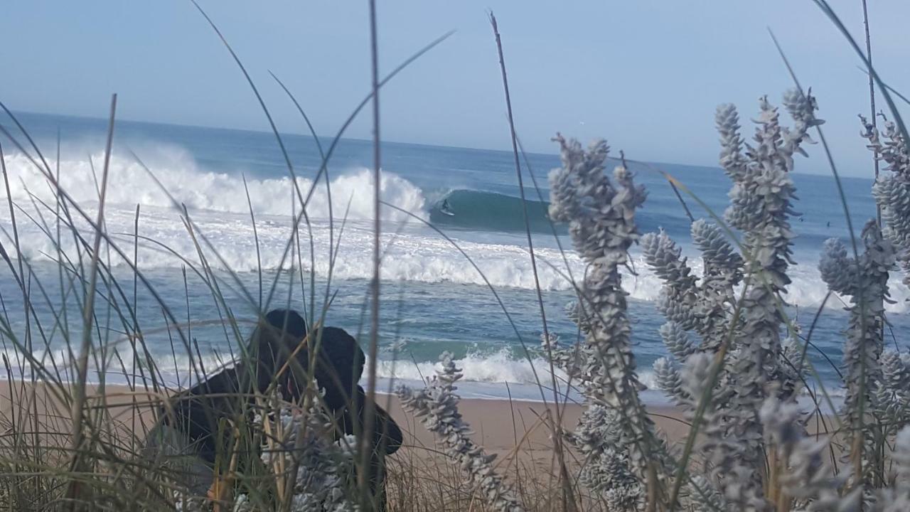 Pineapple Surf House Atouguia Da Baleia Exterior foto